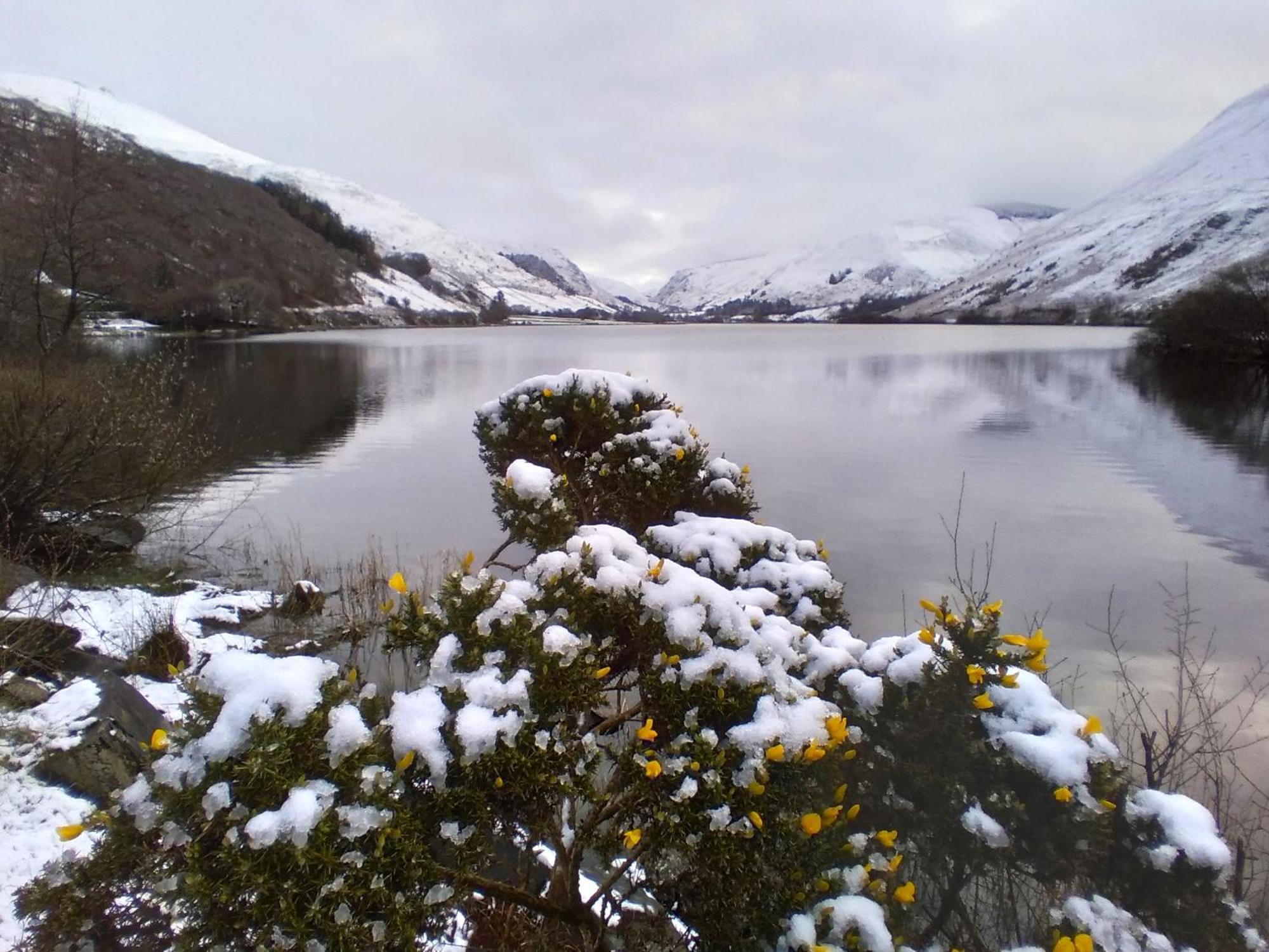 Bed & Breakfast Pen-Y-Bont Hotel 3*
